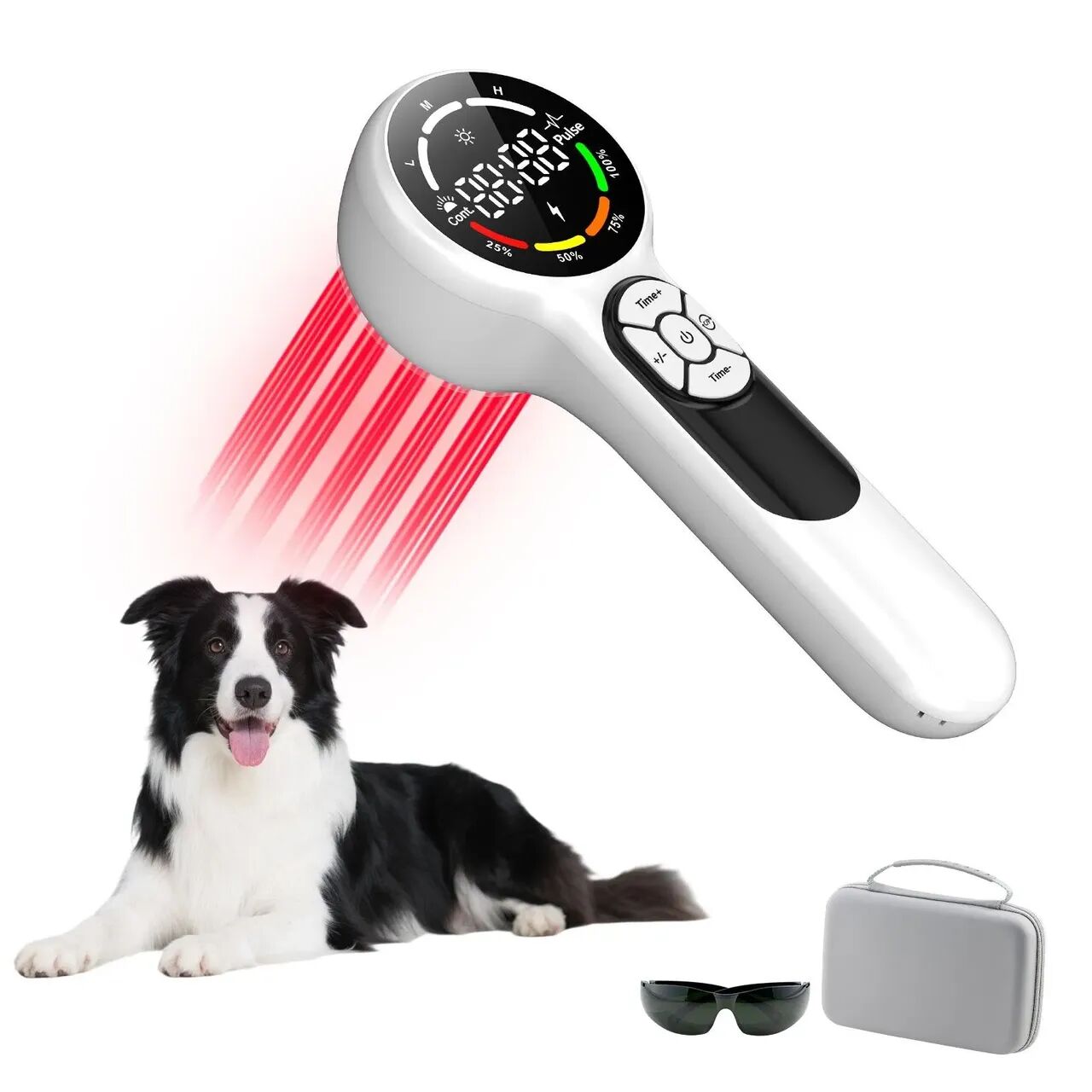 WhatsApp Image 2025-08-22 at 11.32.56.jpeg